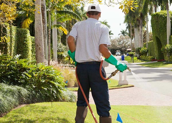 About New Haven VT Pest Control